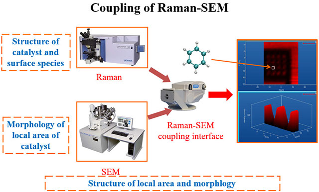 Raman-SEM Loading